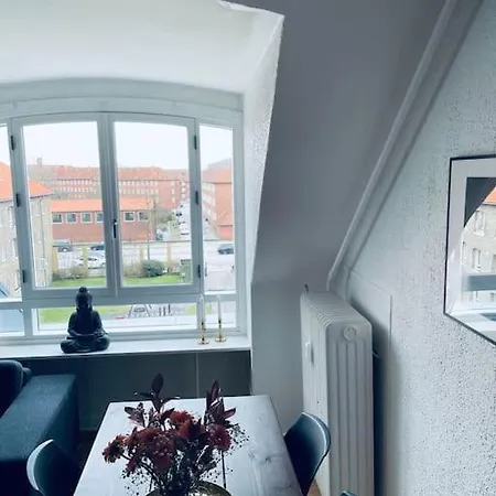 Elegant With Penthouse View In Cph 코펜하겐