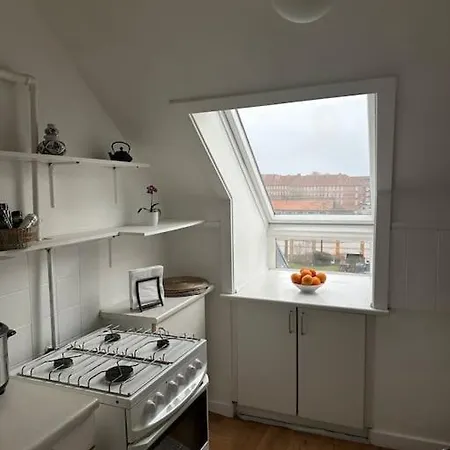아파트 Elegant With Penthouse View In Cph 코펜하겐