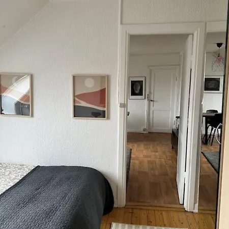 Apartman Elegant With Penthouse View In Cph Koppenhága