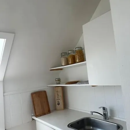 Elegant With Penthouse View In Cph شقة