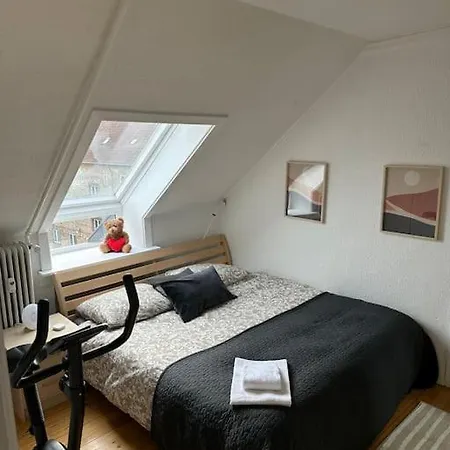 Elegant With Penthouse View In Cph * Copenhagen