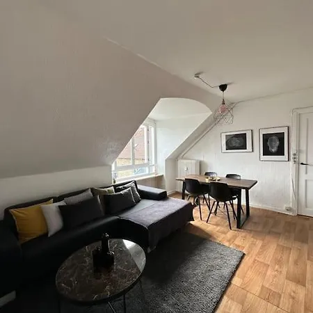 Apartment Elegant With Penthouse View In Cph *
